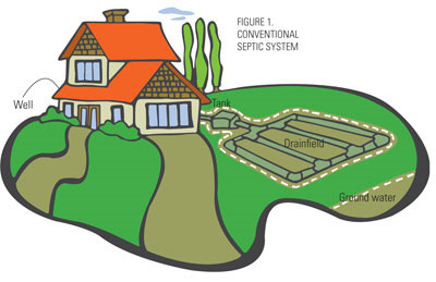 Illustration of septic tank and drainfield system